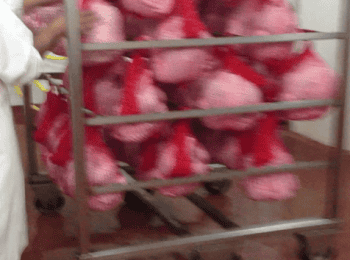Redes de Plastico